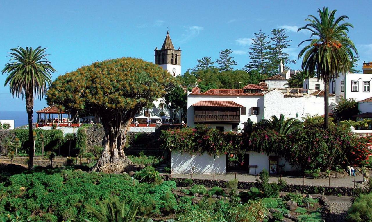 Apartamento Monis Natura Icod De Los Vinos Bagian luar foto